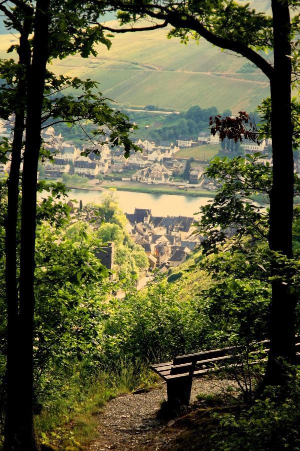 Apartamento Mosel Panorama Zell Exterior foto